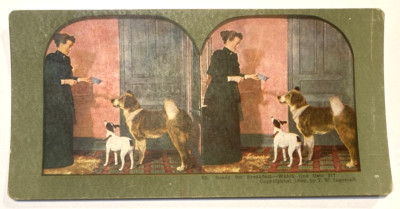 Antique Stereoview Card No 65 Ready For Breakfast Dogs Green Border