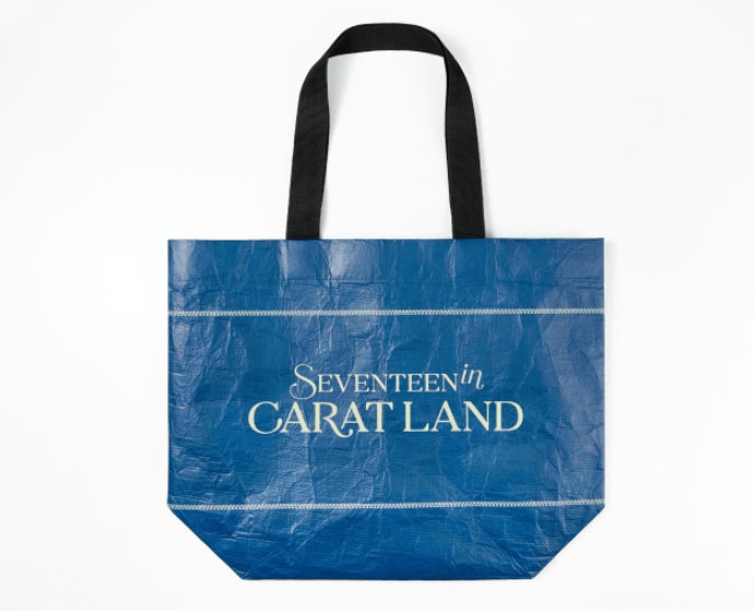 SEVENTEEN 2024 SEVENTEEN in CARAT LAND FANMEETING OFFICIAL MD