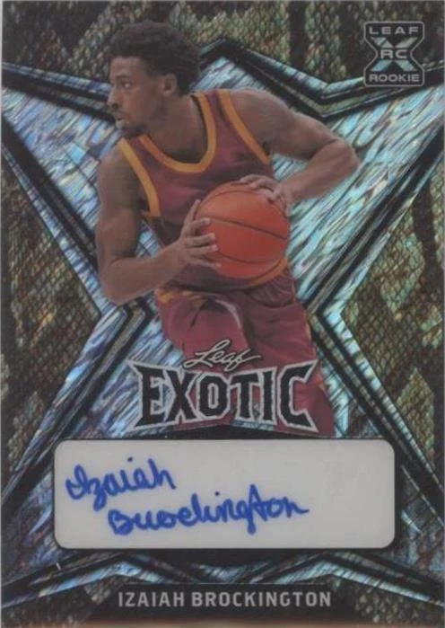 Snakeskin Diagonal Shimmer