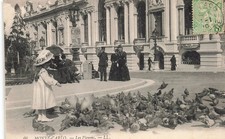 98 MONACO LES PIGEONS