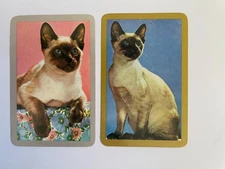JOKER Siamese Cat Animals Portrait Vintage Rare Retro Photo 2 Playing SWAP CARDS