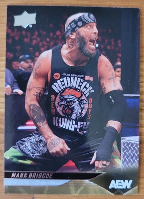 AEW 2025 Trading Cards, Upper Deck, Mark Briscoe, Nr. 36