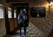 Leibhusaren Regiment Preußen