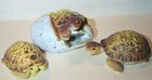 Bild 9 von 9