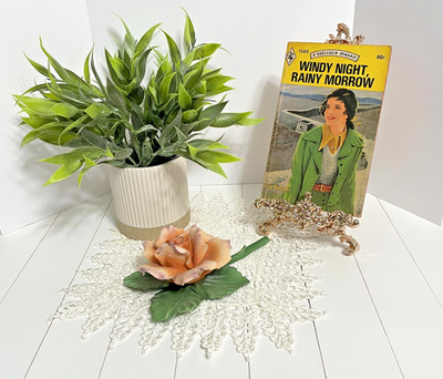 Vintage Harlequin Romance #1560, Windy Night, Rainy Morrow by Ivy Ferrari,  A329