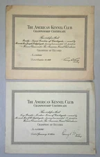 2  AMERICAN KENNEL CLUB CHAMPION OF RECORD CERTIFICATES 1939 & 1944 AKC Embossed