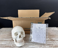 Eisco Labs Full Disarticulated Human Skeleton Life Size 62"