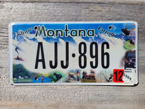 2009 Montana Share Enjoy License Plate AJJ 896 - 第 1/6 張圖片