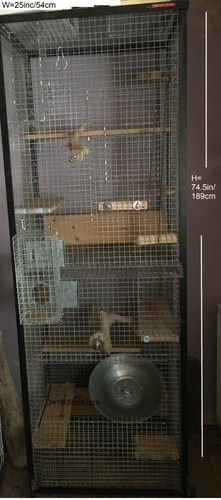 chinchilla cage second hand