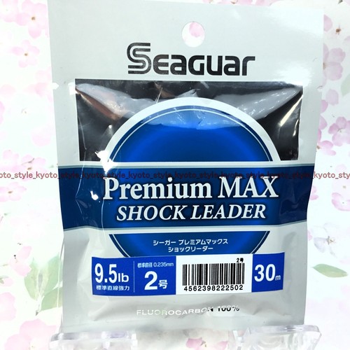 SEAGUAR Ligne à pêche tressée Smackdown