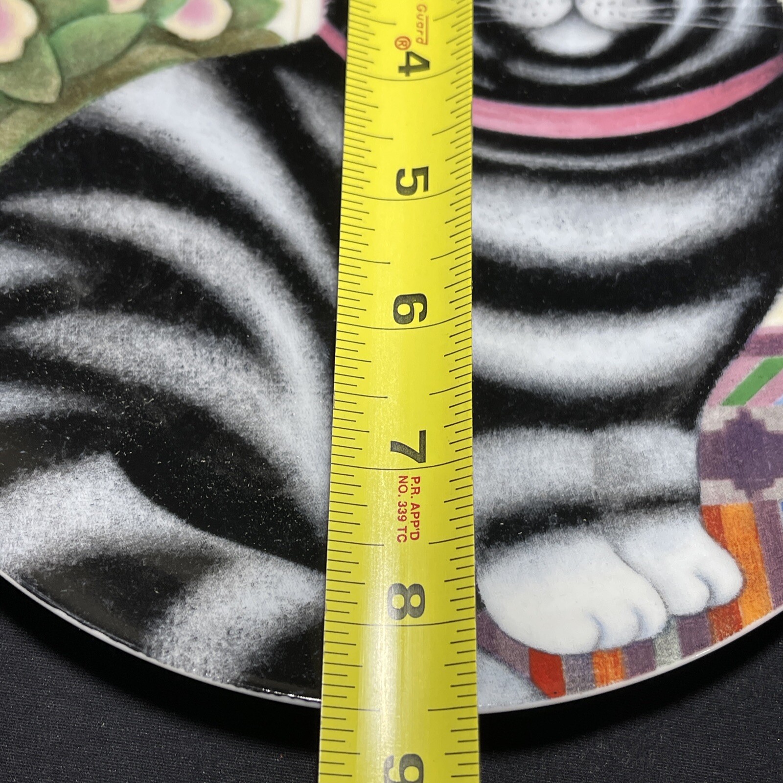 Picture 10 of 19