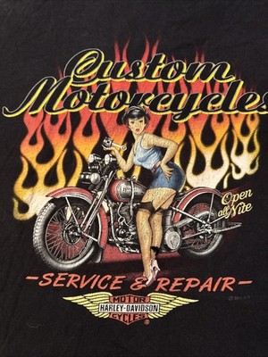 Y2K Harley Davidson Motorcycles Girl Pin Up Flame Shirt 2x Goth