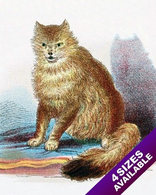 WILD & UGLY ORANGE CAT KITTEN PET ANIMAL PORTRAIT ART PAINTING REAL CANVAS PRINT