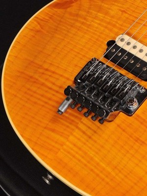 Peavey Wolfgang USA Edward VAN Halen Signature Trans Amber Used