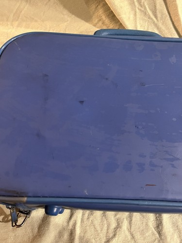 Vintage Care Bears Suitcase Luggage Blue 80s Carry On Kids Funshine Travel Case - Picture 7 of 8