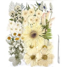 ZQmino A4 Large Dried Pressed Flowers for Resin Real White