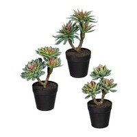 Artplants Deko Sukkulenten Gesteck Drulke Im 3 StüCk, GrüN-Rosa, 24Cm