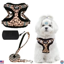 PUPTECK Reflective Dog Harness & Leash Set - Adjustable No Pull Vest for Small