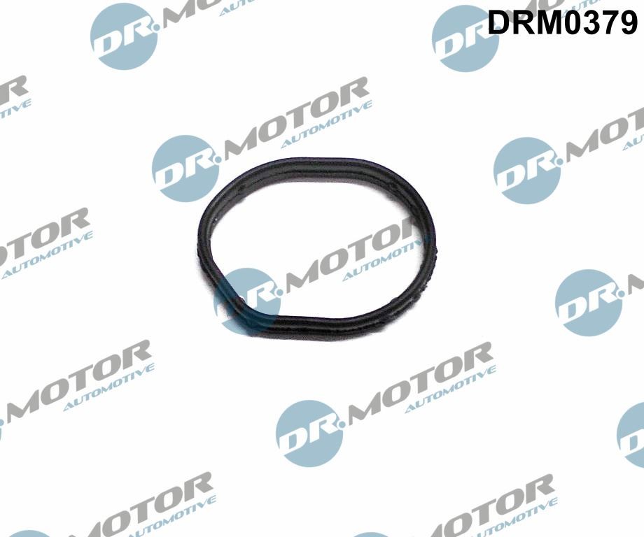 GASKET TIMING CASE COVER DRM0379 FOR FORD MONDEO/Turnier/Hatchback TRANSIT/Box - Image 4