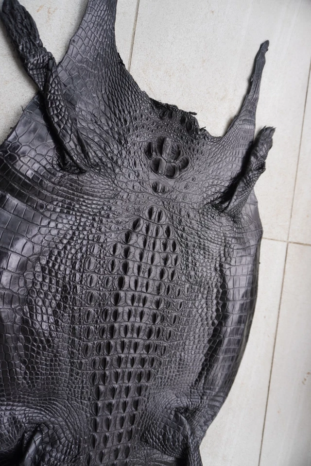 Black Real Crocodile Hornback Leather Skin Hide Exotic Pelt Taxidermy W 14 in E2 - Image 3 of 4