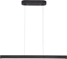 Linear Dimmable Pendant Light with Remote