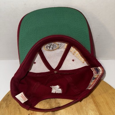 Vintage Washington Redskins Starter The Natural Snapback Hat 100