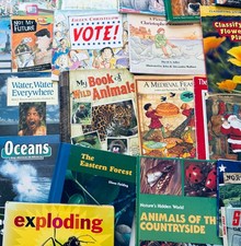 Lot of 10 Random Children's Books, Grades 2-3, Homeschool Library/Teacher Librar