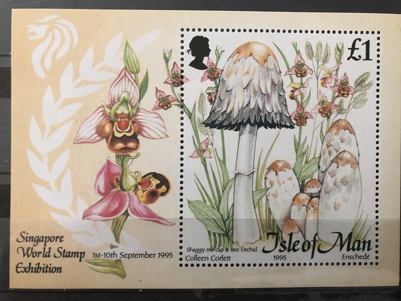 Isle Of Man Scott # 655 Mushrooms S/S MNH