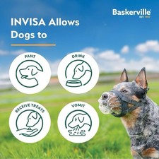 Baskerville INVISA Basket Muzzle Size 6 Grey Transparent Dog Anti-Scavenging