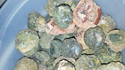 (EACH 2-LB LOT) = 20 to 24 Thundereggs HALVES Uncut Rocks Rough JoNGD:GEMTumbler