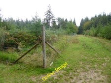 Photo 6x4 South Oakley Inclosure, deer-proof fencing Burley Lawn Protecti c2013
