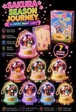Hayao Miyazaki Mystery Box Studio Ghibi Studio Ghibli