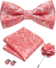 Paisley Pre-tied Bow Tie and Pocket Square Cufflinks Lapel Pin Sets for Men 4PCS