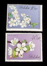 Poland Stamp Sc 1937 1940 Flowers 10Gr  40Gr 1972  Set of 2 Used OG