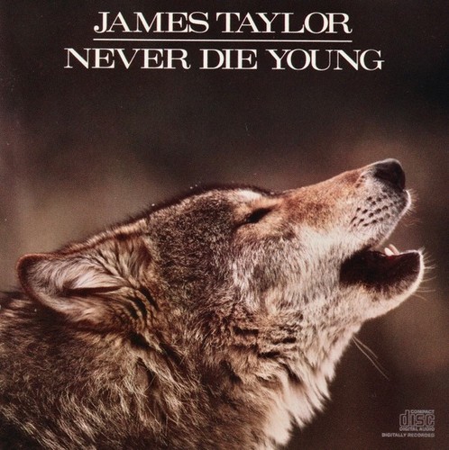1 CENT CD James Taylor – Never Die Young ( Includes track Baby Boom Baby ) ROCK