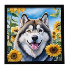 Trésors de Caroline Malamute d'Alaska au tournesol Estampe métal encadrée