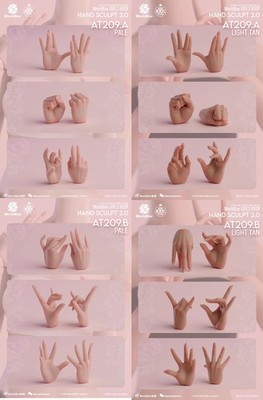 Worldbox AT209 1/6 Handtypes 2.0 Female Hands Model Figure Accessories