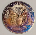 2020 Toned American Silver Eagle 1 oz .999 Fine ~ ASE