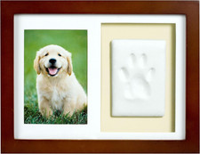 Paw Print Keepsake Wall Frame Kit , Dog or Cat C