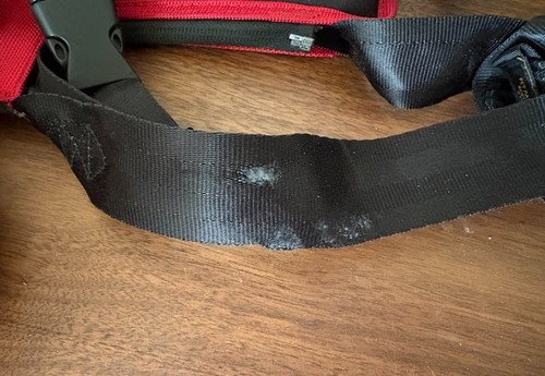 Sleepypod CLICKIT Sport Dog Car Safety Harness - Large