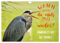 Calendar 2027 · US Version · Humorous From The Animal World (Wall Calendar 2027