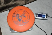 Disc Golf   Rare Disc INNOVA CHAMPION ROC