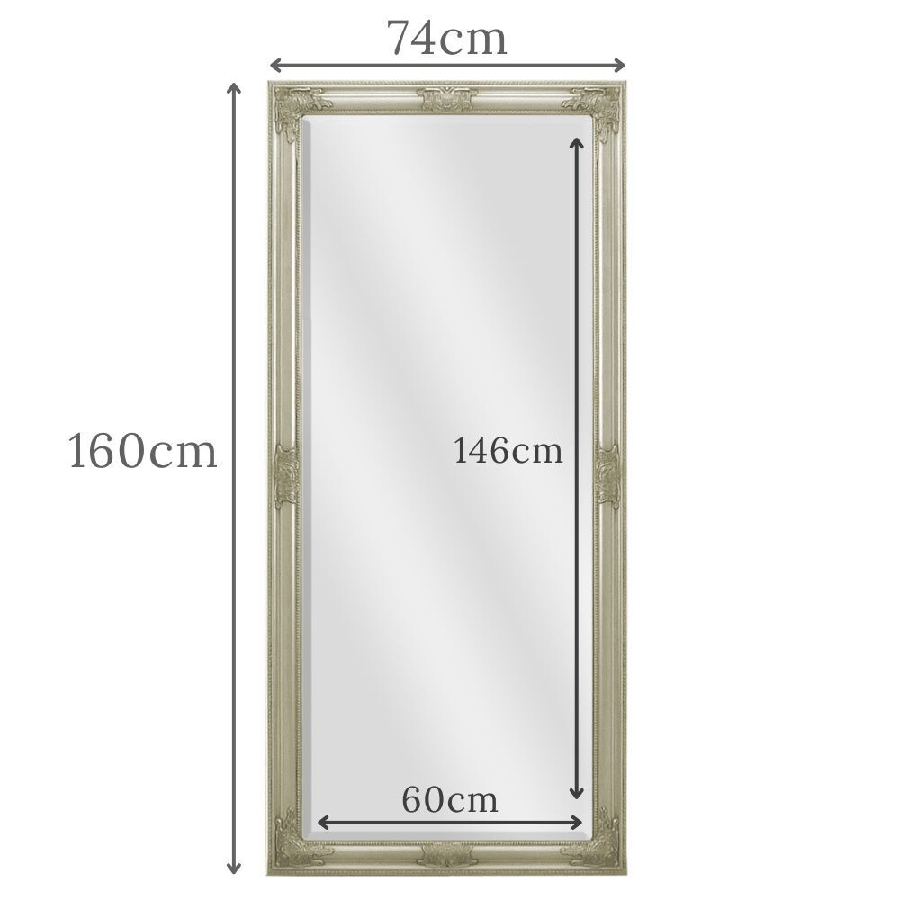 Marty Antique Champagne Ornate Full Length Floor Leaner Wall Mirror