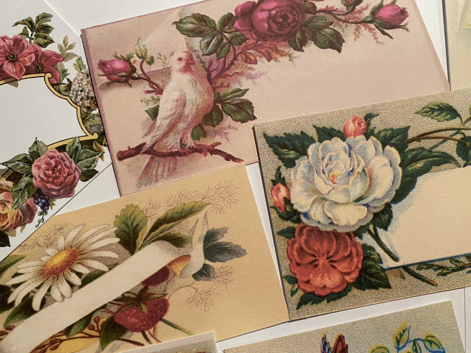 Vintage Style Die Cut/Gift Tag16 Victorian Calling/Trading Cards