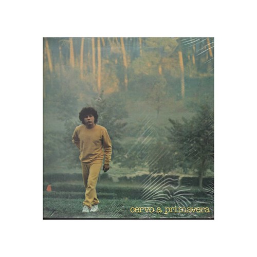 Riccardo Cocciante LP Vinyl Hirsch IN Spring Gatefold Rca ‎ Pl 31546 ...