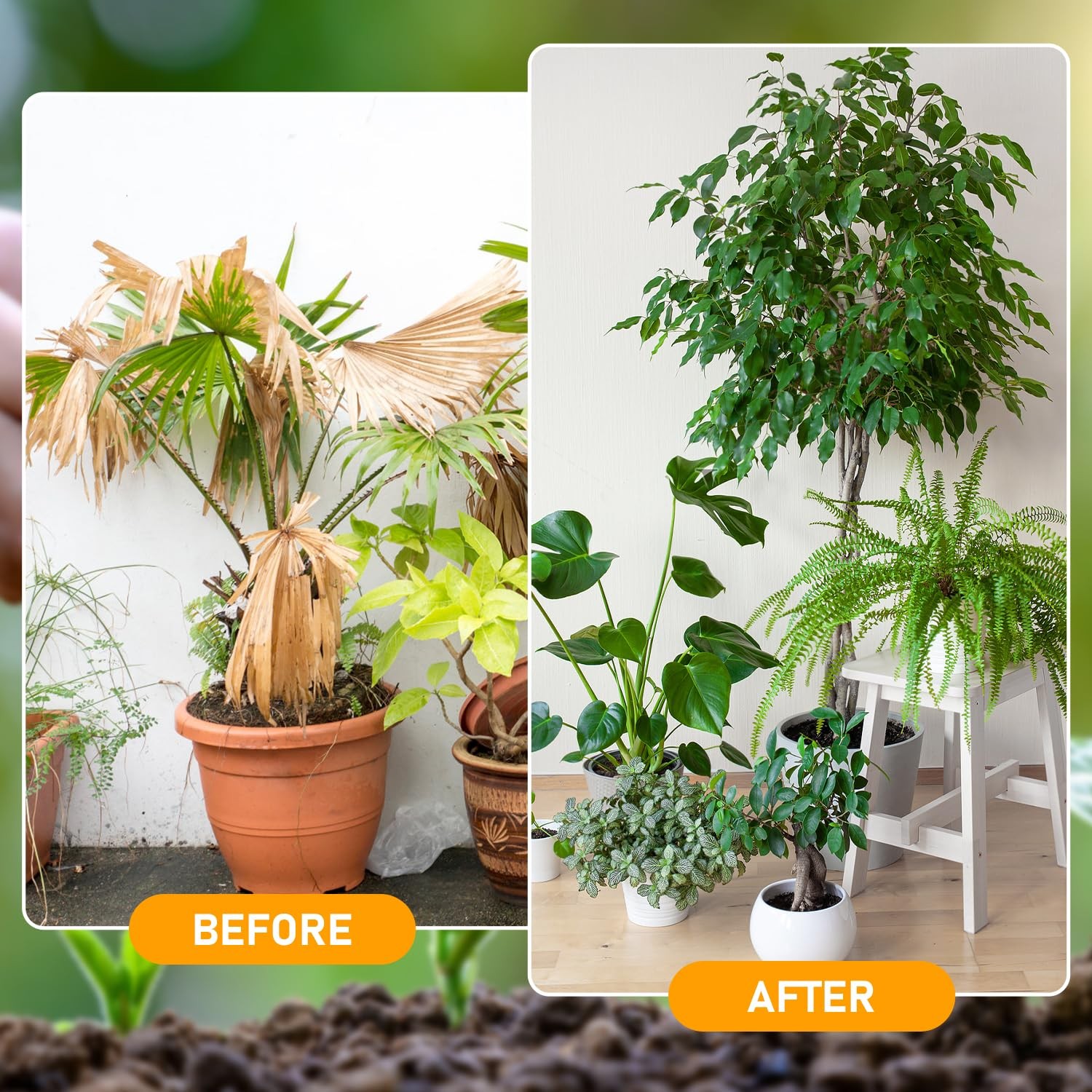 2Pcs Soil Activator, Professional Bone Meal Fertilizer, Dirt Health Booster, Liq