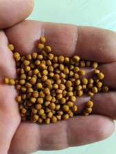 Confezione da 500 grammi di mangime per tartarughe acquatiche 