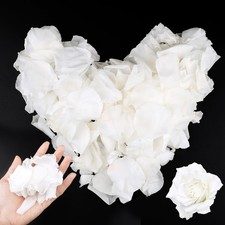 3.5oz 100g Dried Real White Rose Petals Natural Freeze Preserved Flower Confetti