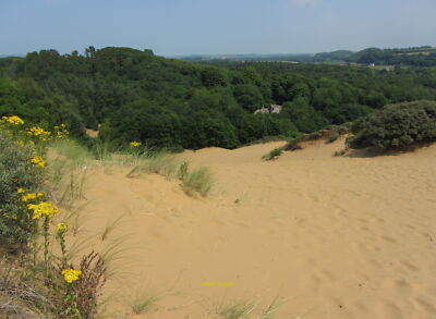 Foto 12x8 auf Merthyr-mawr warren mit Blick auf Candleston Castle gerade v c2013