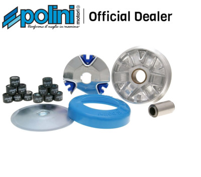 Polini Variator Kit for Piaggio Ciao Special C7V1 with Var 50 1969-1970